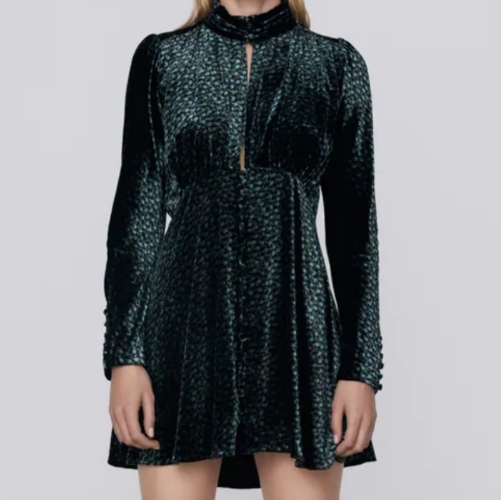 Zara Printed velvet dress